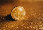 Reasons Why You Must Invest In Digital World!