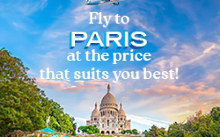 French Bee US Flight Booking Guide: How California & Florida Travelers Can Save on Flights to Paris and Beyond with French Bee